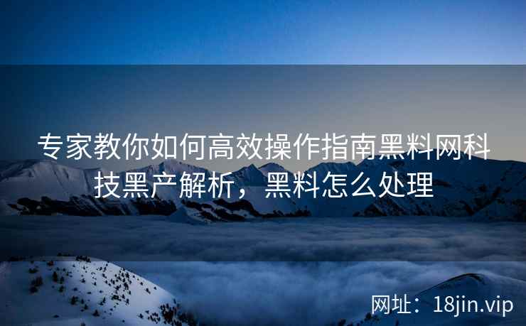 专家教你如何高效操作指南黑料网科技黑产解析，黑料怎么处理