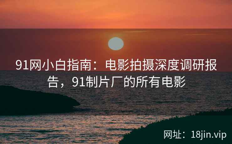 91网小白指南：电影拍摄深度调研报告，91制片厂的所有电影
