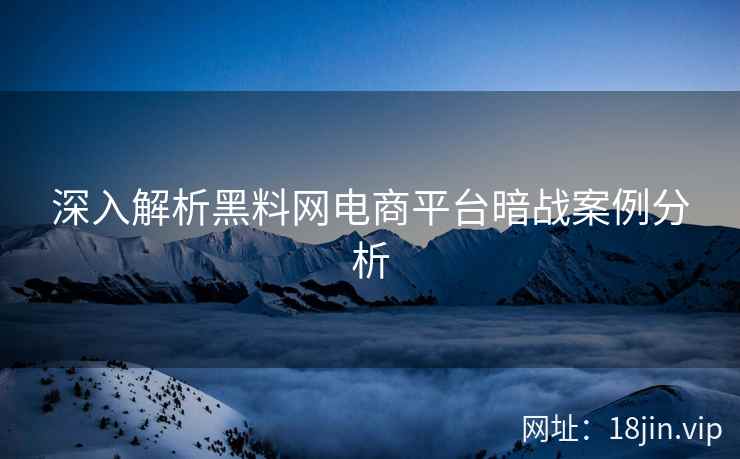 深入解析黑料网电商平台暗战案例分析