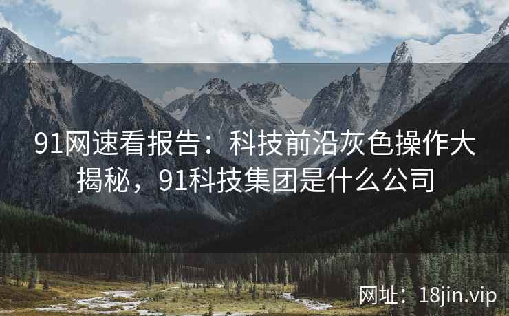 91网速看报告：科技前沿灰色操作大揭秘，91科技集团是什么公司