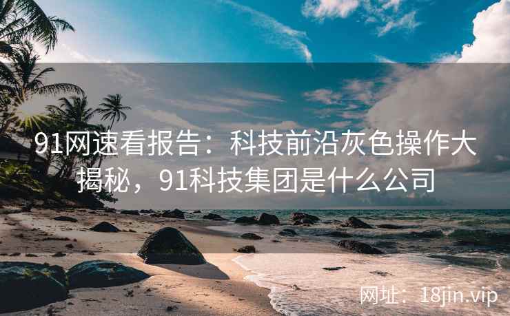 91网速看报告：科技前沿灰色操作大揭秘，91科技集团是什么公司
