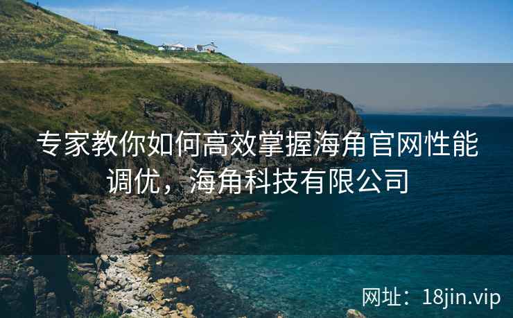 专家教你如何高效掌握海角官网性能调优，海角科技有限公司
