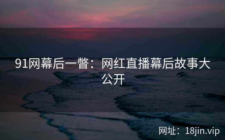 91网幕后一瞥：网红直播幕后故事大公开